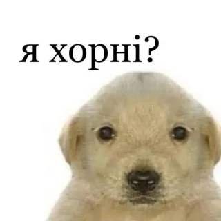 😩 emoji Мєми Telegram sticker 7 of 58