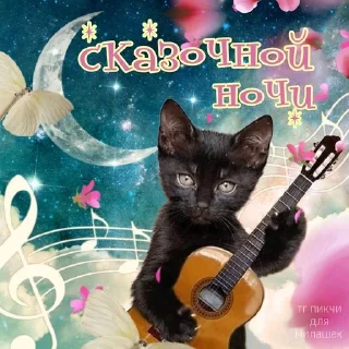 😴 emoji тшш котики спят Telegram sticker 9 of 78