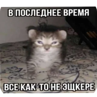 Sticker from Для супер важных переговоров