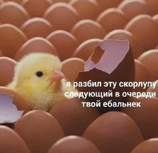 🥲 emoji Для самых важных переговоров Telegram sticker 12 of 20