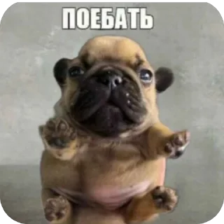 😆 emoji ядалбаеп Telegram sticker 8 of 23