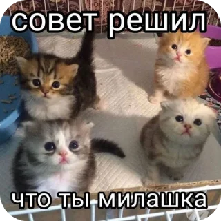 ❤ emoji Тык;: @vyfanekrytoi Telegram sticker 21 of 92