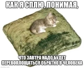 🌟 emoji А я на морі :: @Damkca @fStikBot Telegram sticker 21 of 50