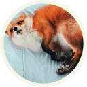 😐 emoji 🦊 Лисы @lennysticker Telegram sticker 11 of 38