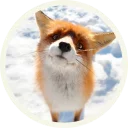 😳 emoji 🦊 Лисы @lennysticker Telegram sticker 21 of 38
