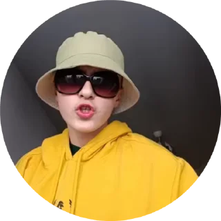 😈 emoji NEVER, Создал стикеры @Sh1noki Telegram sticker 4 of 41