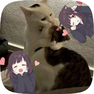 Sticker from 🫀