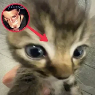 🌟 emoji WOOOOUU Telegram sticker 21 of 52