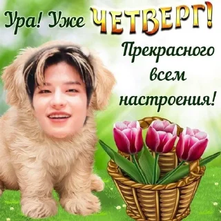 🤗 emoji нэга пьёнэ (автор @karinakvg) Telegram sticker 23 of 70