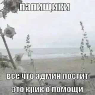 🌟 emoji ir блонди core: Telegram sticker 17 of 120