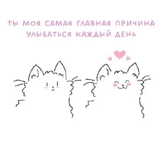 🫣 emoji insta skkromen 🫶🏻 Telegram sticker 22 of 120