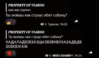 Sticker from лютый пон