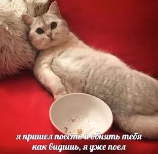 ❤ emoji кюхтрешпак Telegram sticker 12 of 120