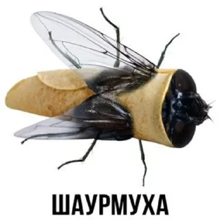 Sticker from Животное
