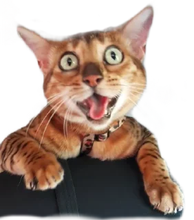 😊 emoji Леона Telegram sticker 10 of 27