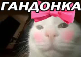 🖕 emoji НАС РАНО Telegram sticker 15 of 54