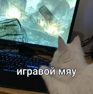 🖥 emoji Котята мяу от @asianMofu Telegram sticker 7 of 73