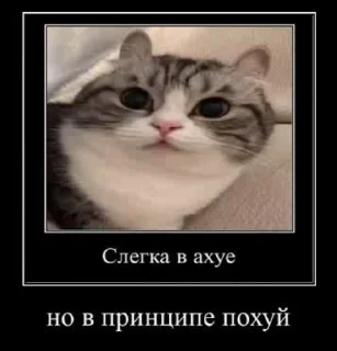 🥱 emoji Аллах дно Telegram sticker 21 of 39