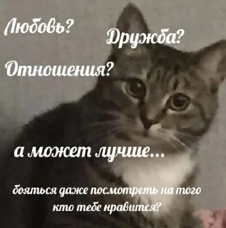 🤓 emoji На все случаи жизни! Telegram sticker 17 of 108