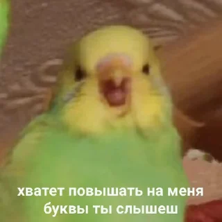 🚽 emoji Всякая хуйня Telegram sticker 24 of 51
