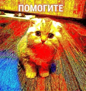 😱 emoji Милашка Telegram sticker 11 of 15