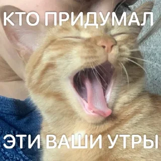 🌟 emoji Ириска Telegram sticker 22 of 24