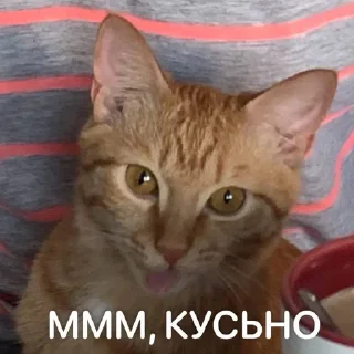 😋 emoji Ириска Telegram sticker 18 of 24