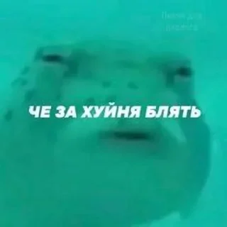 🌟 emoji Каждый день одно и то же Telegram sticker 10 of 103