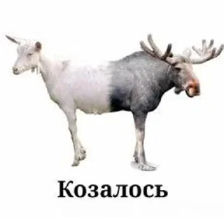 🌟 emoji Каждый день одно и то же Telegram sticker 19 of 103