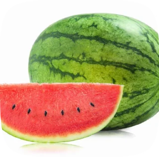 🍉 emoji элизия домой бвстро Telegram sticker 11 of 27