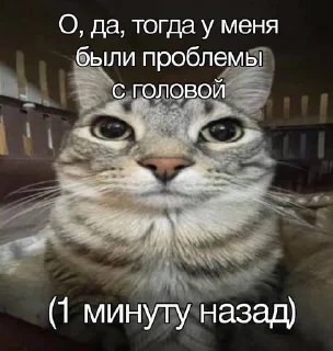 🌟 emoji Милый пак Telegram sticker 2 of 108