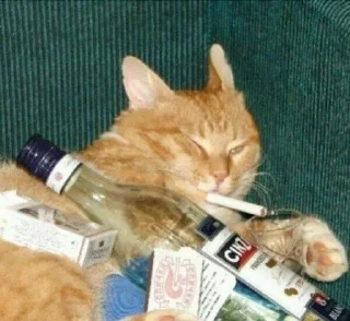 🚬 emoji Милый пак Telegram sticker 18 of 108