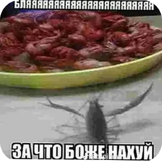 🍲 emoji Гавкіт Telegram sticker 17 of 30