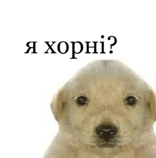 🇺🇦 emoji @dontoffor_stickers 1.0 Telegram sticker 24 of 24