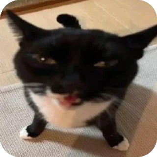 😑 emoji не пикми пикчи Telegram sticker 15 of 115