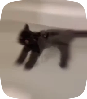 Sticker from Kittyy