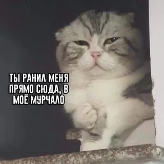 😭 emoji Мемпак Telegram sticker 23 of 118