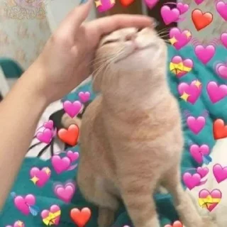 ❤️ emoji Мемпак Telegram sticker 17 of 118