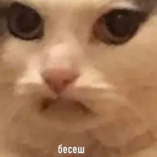 🤬 emoji Мемпак Telegram sticker 18 of 118