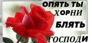 Sticker from Мемпак
