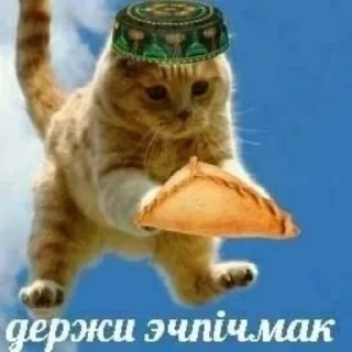 🌟 emoji Кошачий муд Telegram sticker 24 of 67