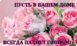💩 emoji Комары и ко Telegram sticker 9 of 50