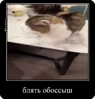 🤮 emoji Комары и ко Telegram sticker 17 of 50