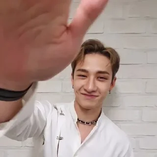🥰 emoji ~방찬~ Bang Chan Telegram sticker 19 of 120