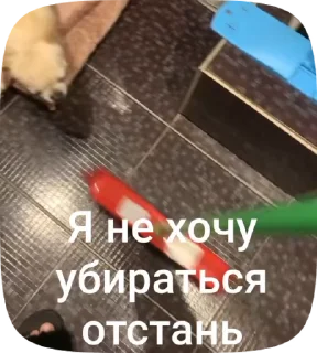 🧹 emoji Лелька видео @jopa228hfhd Telegram sticker 17 of 30