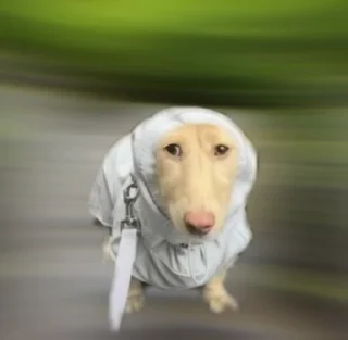 🌟 emoji Крем в дождевике Telegram sticker 2 of 25