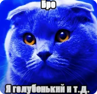 🌟 emoji Для важностей Telegram sticker 8 of 101