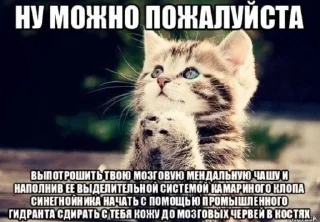 🙏 emoji людоеды | @j0kullse Telegram sticker 8 of 115