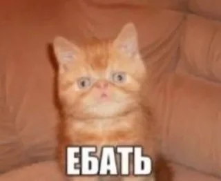 😳 emoji людоеды | @j0kullse Telegram sticker 7 of 115