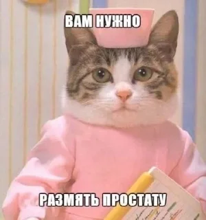 Sticker from ШО-1
